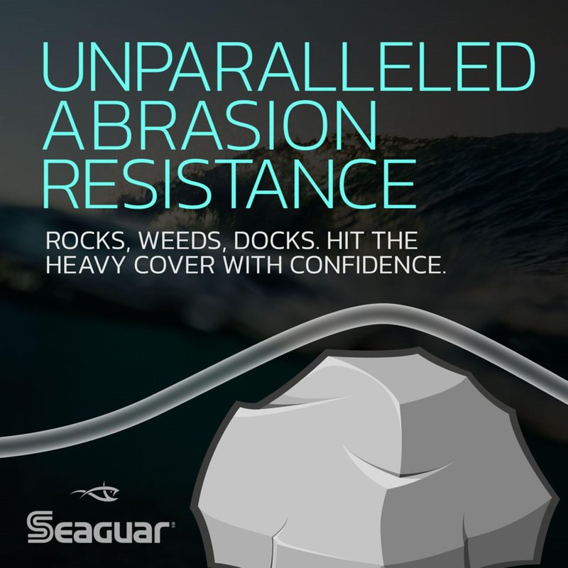 Seaguar Red Label 100% Fluorocarbon Fishing Line 12lbs, 200yds, Clear - 12RM200