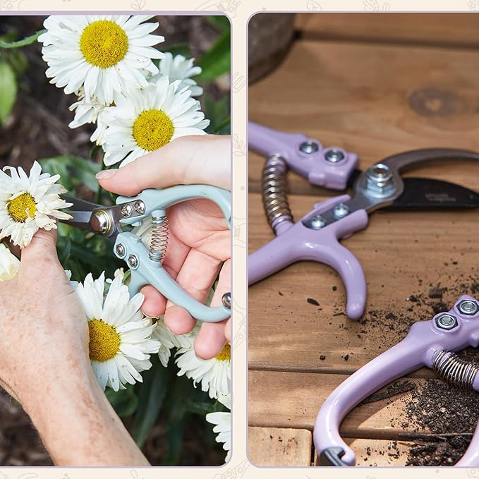 Modern Sprout Hand Pruners & Shears Set with Blister Pack - Lightweight Gardening Tools with Easy Lock - Sharp Carbon Steel Blades -Rust Resistant Scissors for Herbs, Flowers - Lavender