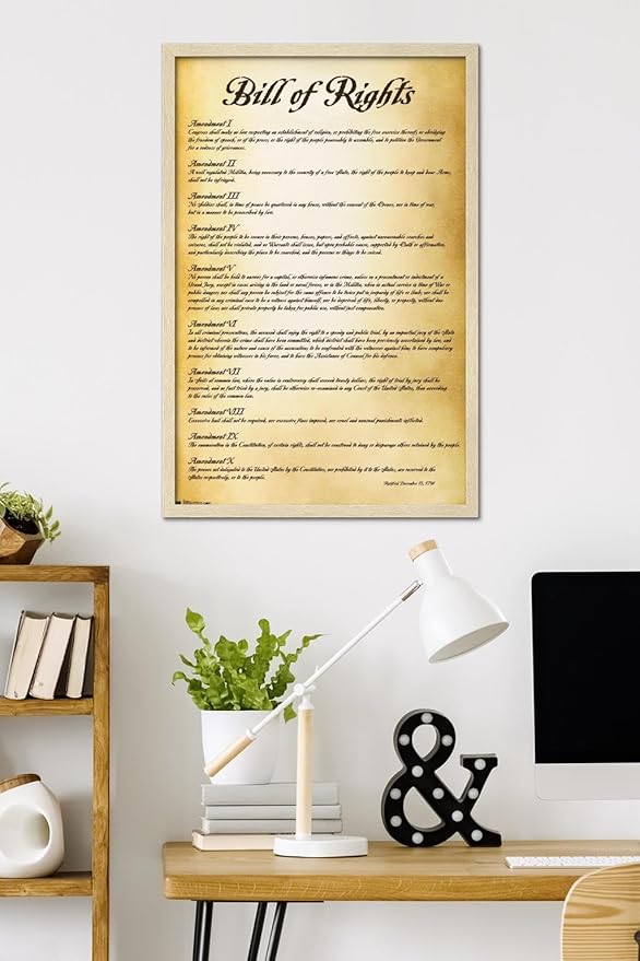 Trends International The United States of America - Bill of Rights Wall Poster, 34L x 22.4W, Blonde Framed Version