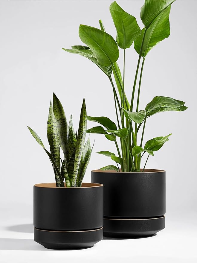 LE TAUCI 12 Inch Pot for Plants with Saucer, Ceramic Indoor Planter Pot with Drainage Hole, Mesh Pad & Plug Included, Matte Glazed Outside, Modern for Home and Office, Obsidian Black & Ochre