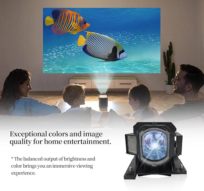 SORNEICDR DT01021 Replacement Projector Lamp Bulb Compatible with Hitachi CP-X2010 CP-X2010N CP-X2510 CP-X2510E CP-X2510EN CP-X2510N CP-X3010 CP-X3010E CP-X3010EN CP-X3010N ED-X40