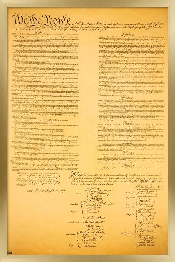 Trends International The Constitution Wall Poster, 22.375" x 34", Gold Framed Version