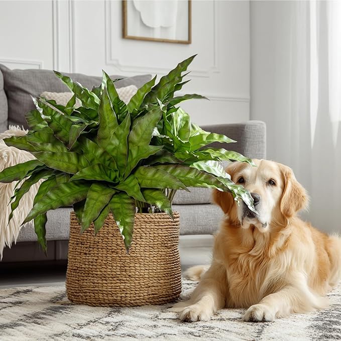 4 Pcs Artificial Greenery Stems Fake Bird Nest Fern Faux Branches Artificial Plants Realistic Fake Dracaena Realistic Plants for Indoor Outdoor Porch Patio Home Office Living Room Decor (Brown Green)