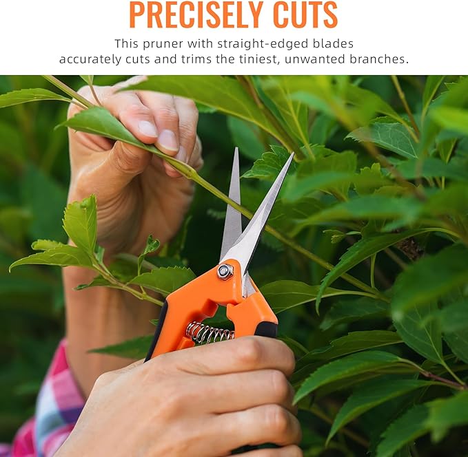 BEoffer 4 Pack Pruning Shears, 6.5 Inch Garden Scissors Gardening Hand Pruning Snips with Straight Stainless Steel Precision Blades for Gardening Flower Plant Precise Trimming and Pruning Maintenance