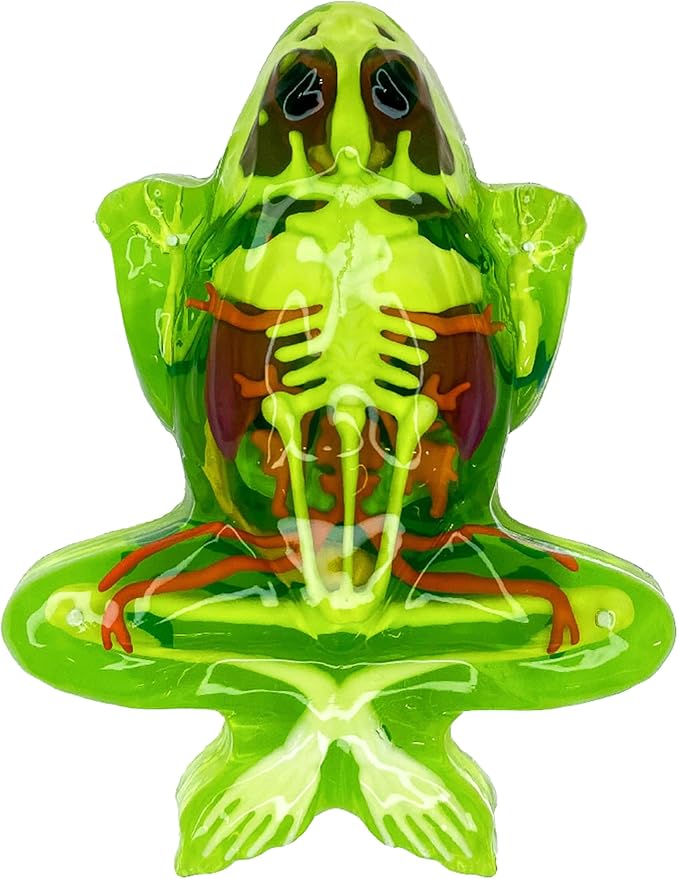 Dissect-It Kit for Kids, Simulated Synthetic Lab Dissection Toy, Frog Super Lab STEM Toys for Animal Science, Biology, and Anatomy