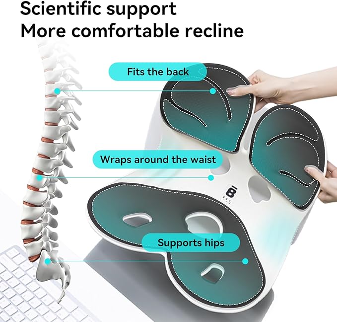 BKT Seat Cushion Chair Ergonomic Office Chair Cushions Lumbar Support for Seat Pillow Ideal for Students Office Workers Nursing Mothers Long Sitting Outdoor Fishing Floor (L-Black)