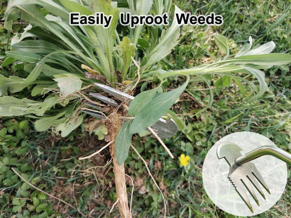 Weed Puller Tool,Garden Weed Remove Tool, Stainless Steel Hand Weeding Tool, Weeding Artifact Uprooting Weeding Tool for Vegetable Backyard Farm Planting and Weeding (Rubber Handle)