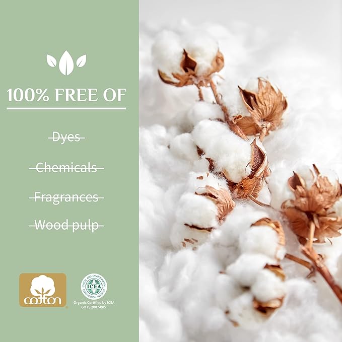 Organyc 100% Certified Organic Cotton Flat Panty Liner - Everyday Sanitary Pad, Free from Wood Pulp, Perfumes, SAP and Chemicals - Maxi Flow, 20 Count (Pack of 4)