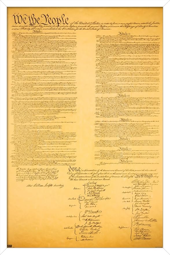 Trends International The Constitution Wall Poster, 22.375" x 34", White Framed Version