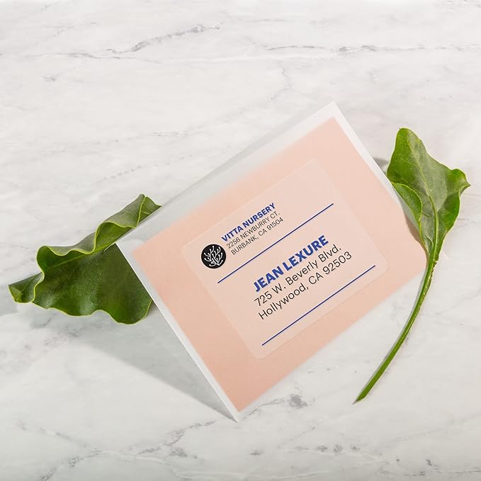 Avery Printable Shipping Labels with Sure Feed, 2" x 4" Customizable Stickers, Matte Clear, 250 Blank Mailing Labels, Great for Mailing, Shipping, and More (8663)