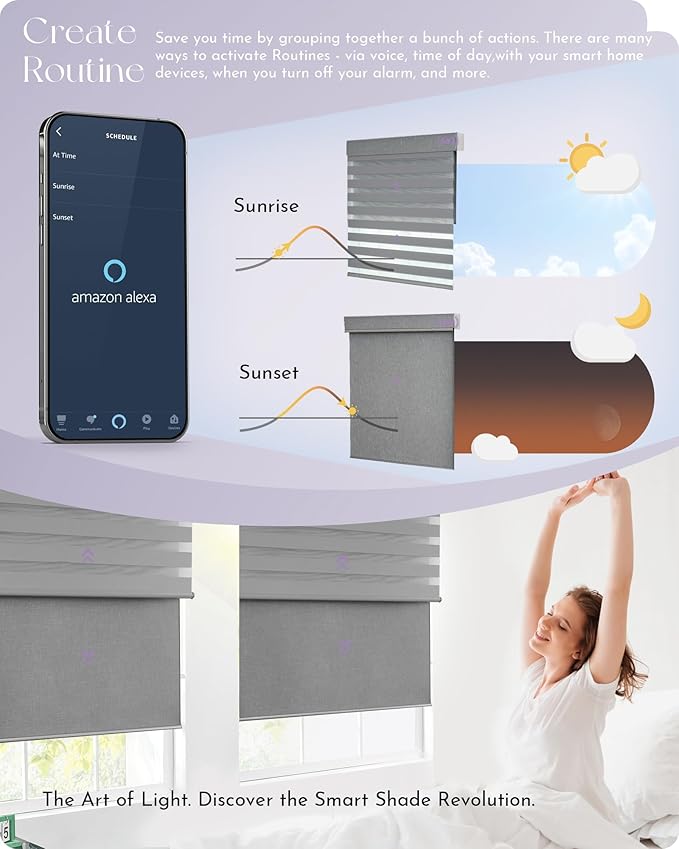 Graywind Smart Dual Shades Compatible with Alexa Google Homepod Motorized Double Zebra Blinds Matter Solar Powered, Custom Size (Light Grey)