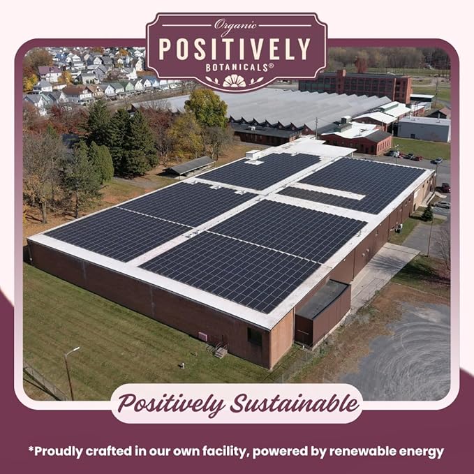 Organic Positively Botanicals Company, Mullein Herbal Tea Bags, 20 Count