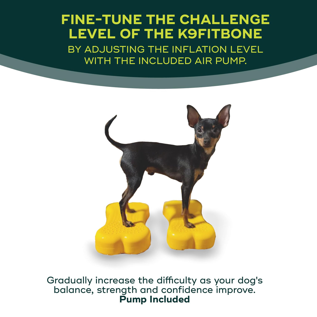 FitPaws® Mini K9FITbone® Dog Balance and Exercise Equipment, Mango, 2-Pack