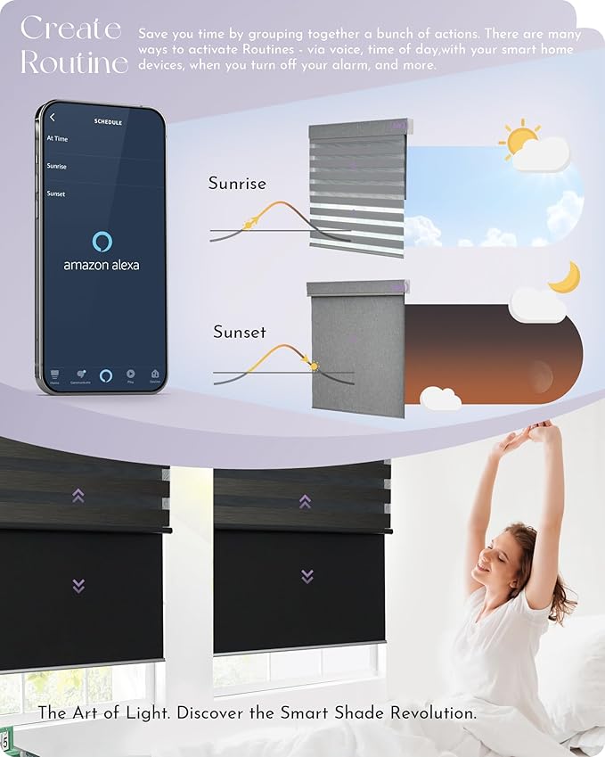 Graywind Smart Dual Shades Compatible with Alexa Google Homepod Motorized Double Zebra Blinds Matter Solar Powered, Custom Size (Black)