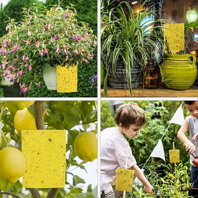 Gideal 30-Pack Dual-Sided Yellow Sticky Traps for Indoor Outdoor Flying Plant Insect Fungus Gnats, Whiteflies, Aphids, Leafminers,Thrips (6x8 Inches, Included 30pcs Twist Ties)