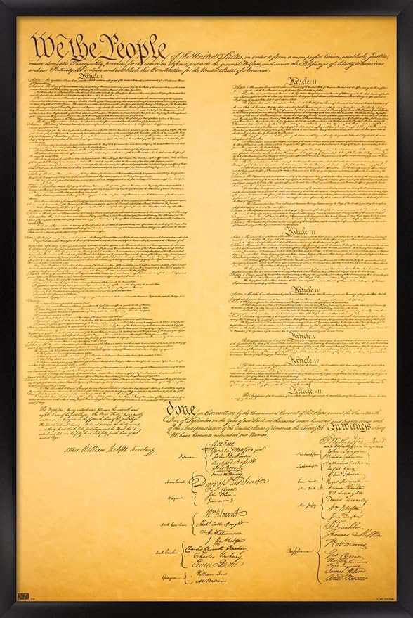 Trends International The Constitution Wall Poster, 14.725" x 22.375", Black Framed Version