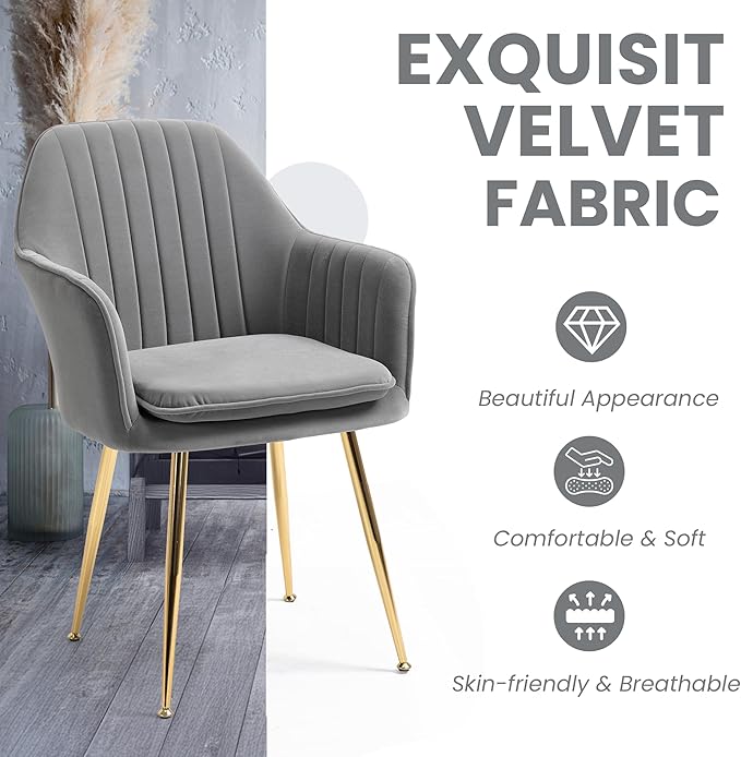 ECOTOUGE Modern Dining Chairs Set of 4, Upholstered Dining Room Chairs with Golden Metal Legs, Matte Velvet Kitchen Chairs for Dining Table, Accent Chairs for Living Room, Grey
