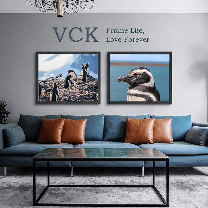VCK 24x30 Poster Frame Set of 2 - Black, Textured Exclusive Solid Wood Picture Frames with Polished Plexiglass, Wall Hanging