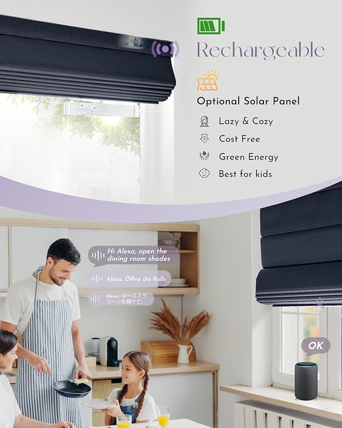 Graywind Smart Roman Shades Compatible with Alexa Google Rechargeable Motorized Blinds with Remote Blackout Roman Window Shades Plain Fold Soft for Doors Bedroom, Custom Size (Flowline Midnight)