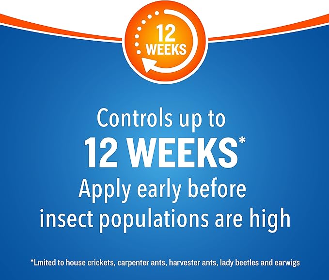 Cutter Backyard Bug Control Spray Concentrate (6 Pack), Kills Mosquitoes, Fleas & Listed Ants, 32 fl Ounce