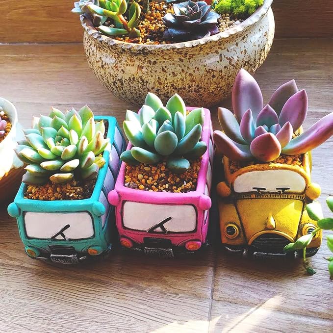 Cute Cacti & Succulent Plants Pot, Succulent Decor Planter Pot Indoor/Outdoor
