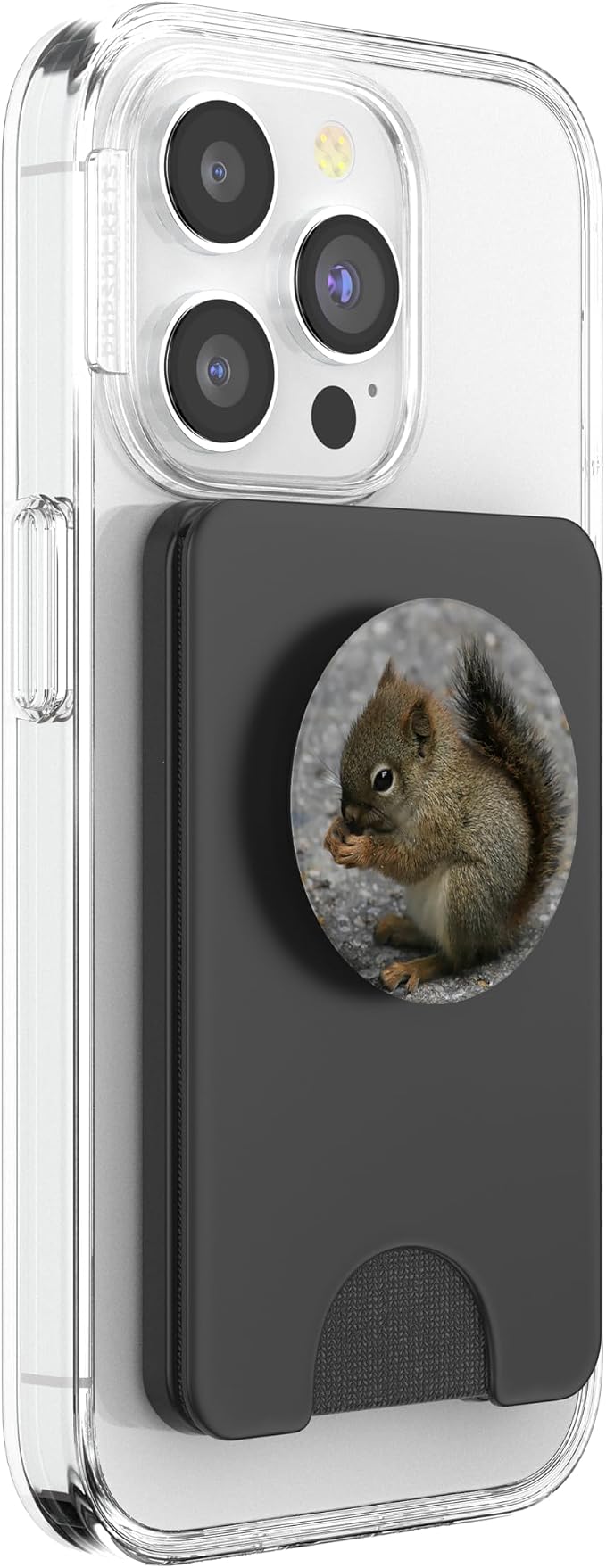 Cute Baby Squirrel Pop Mount Socket PopSockets Adhesive PopGrip