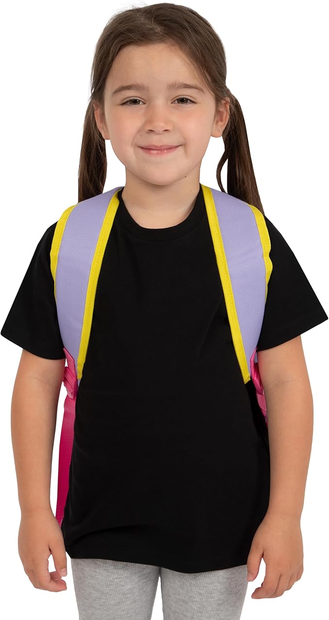 Paw Patrol Backpack 3 Piece Set | Skye Girls Backpack, Lunch Bag And Water Bottle | Girls School Bag | One Size Purple