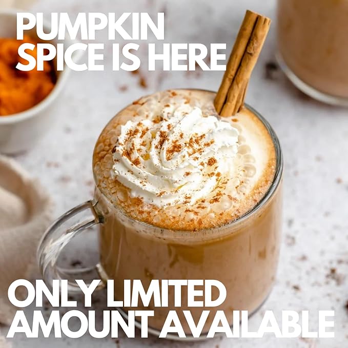 Sarasota Coffee Ground Packets | Gourmet Flavored Medium Roast Bulk Coffee Packs | Pumpkin Spice | Low Acid Mold Free Singles Individual Pouches for 12 Cups Maker | 2 Ounce Bags, 36 Count