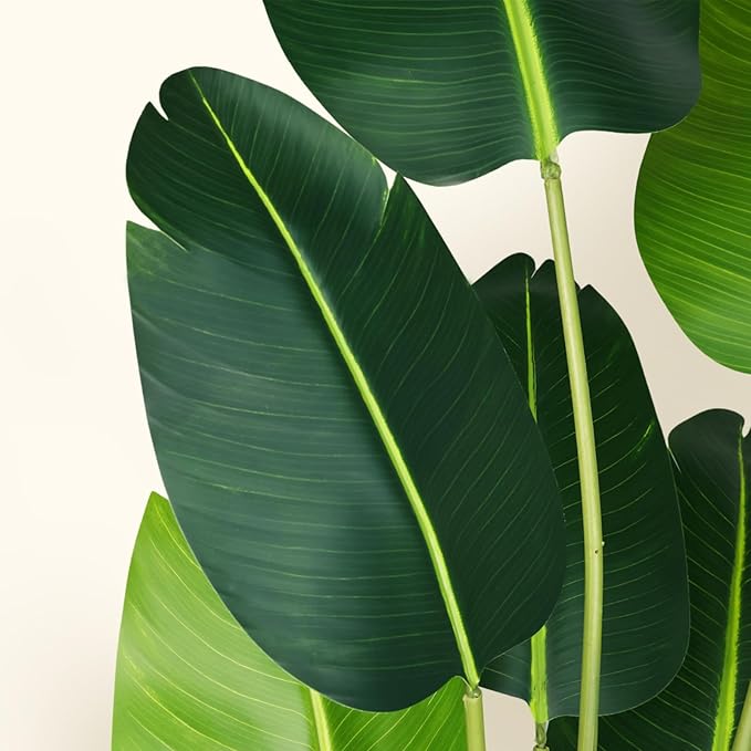 Artificial Bird of Paradise Plant 8Ft Fake Tropical Palm Tree with 18Trunks Faux Banana Leaf Trees in Pot for Home Indoor Outdoor Office Modern Decor Housewarming Gift（2Pcs）