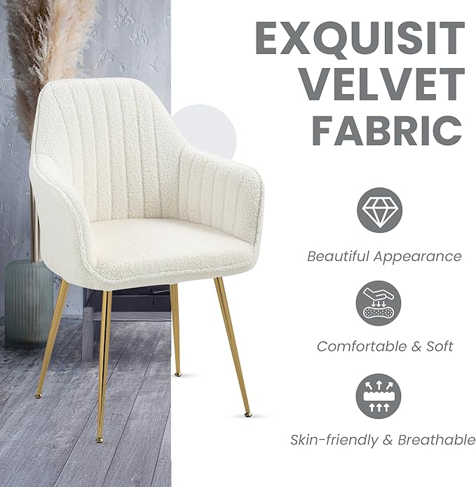 ECOTOUGE Teddy Velvet Dining Chairs Set of 4, Modern Arm Chair with Golden Metal Legs, Fluffy Boucle Sherpa Accent Chairs for Kitchen, Cream White