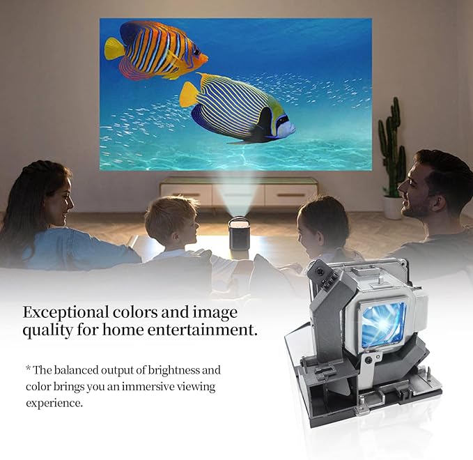 SORNEICDR NP28LP/100013541 Replacement Projector Lamp Bulb Compatible with NEC M302WS M303WS M322W M322X M323W M323X Projectors, with Housing