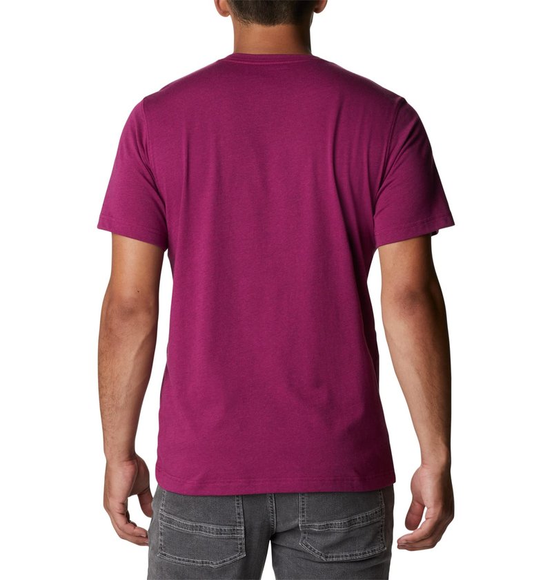 Columbia Men's Thistletown Hills Short Sleeve, Red Onion Heather, X-Large