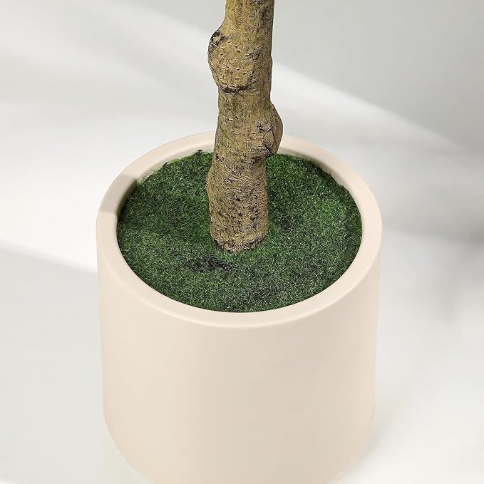 6FT Ficus Trees Artificial Indoor, Faux Silk Plant with Natural Wood Trunk and Lifelike Fruits, White Imitation Ceramic Planter with Green Fake Moss for Modern Home Office Living Room Decor