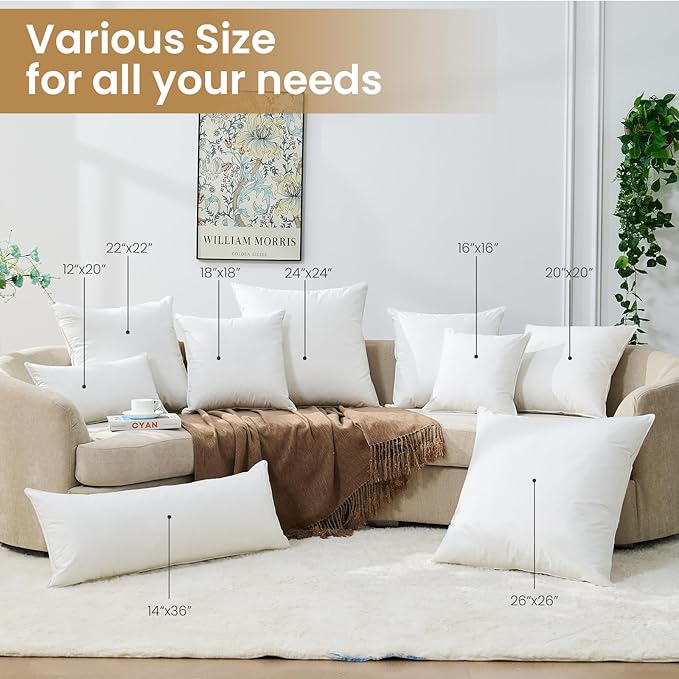 BHZ Throw Pillows 18x18 Euro Pillow Inserts Set of 2, Down Feather Alternative Pillow Inserts, Decorative Soft Large Square White Throw Pillows Insert for Couch Bed Dorm Sofa with Cotton Cover