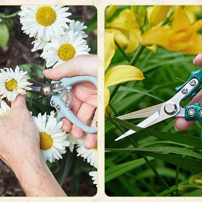 Modern Sprout Pruning Shears - Herb Snipping Scissors- Lightweight Gardening Tools W/Easy Lock - Flower Cutter Garden Shears - Carbon Steel Blade + Reusable Holster (Chartreuse, 1-Pack)