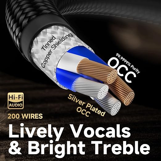 TODN Audiophile USB A to USB B Cable OCC Silver Plated USB Audio Cable HiFi 3.0 USB A to B Cable for DAC Sound Card Digital Piano Mixer Amplifier &amp Printer (9.8FT/3M)
