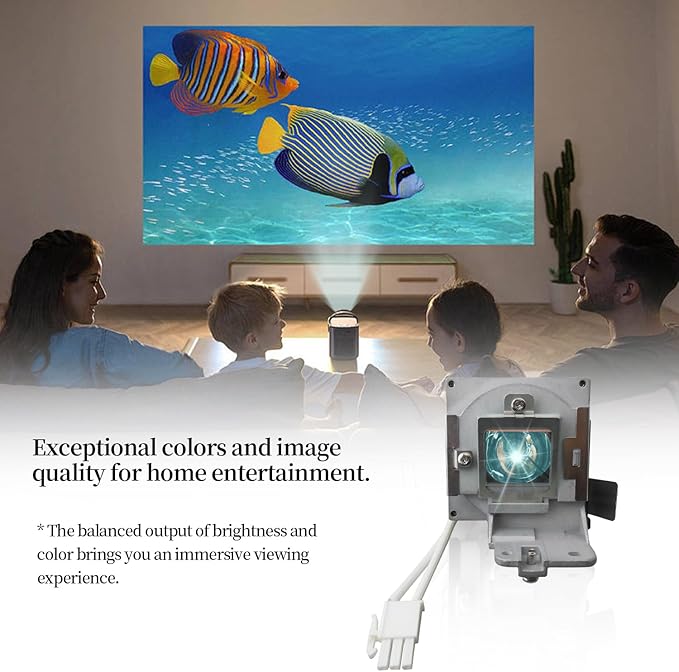 SORNEICDR 5J.J9R05.001 Replacement Projector Lamp Bulb Compatible with BENQ MS504 MS512H MS514H MS521P MS522P New Generation A+ Lampwick Lamp Bulb Replacement with Housing