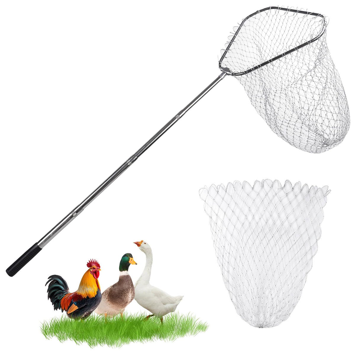 Chicken Catching Net Bird Net with Telescoping Pole, Strong Stainless Handle Full Extended to 48 Inches