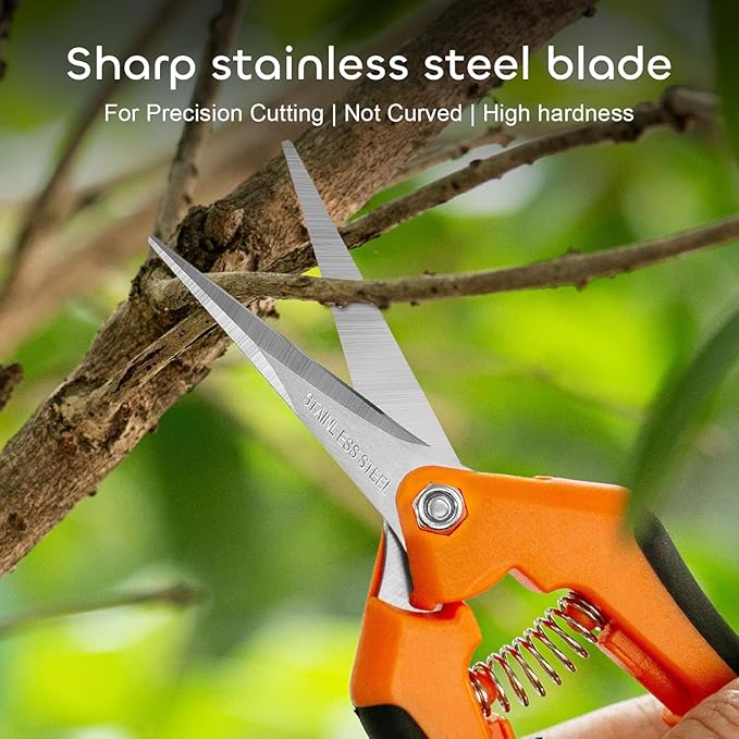 GROWNEER 1 Packs 6.5 Inch Pruning Shears Gardening Hand Pruning Snips Gardening Scissors with Straight Stainless Steel Precision Blades