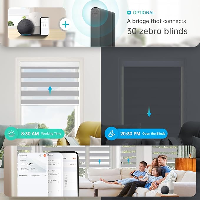 DENFOON Motorized Zebra Blinds, Solar Powered Dual Layer Automatic Shades with Remote Control, Rechargeable Smart Blinds Horizontal Wireless Electric Shades for Windows, Custom Size, Gray， 46 x 72