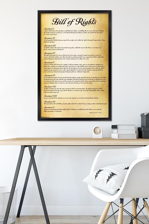 Trends International The United States of America - Bill of Rights Wall Poster, 22.375" x 34", Black Framed Version