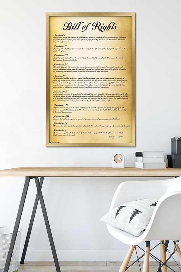 Trends International The United States of America - Bill of Rights Wall Poster, 22.375" x 34", Gold Framed Version