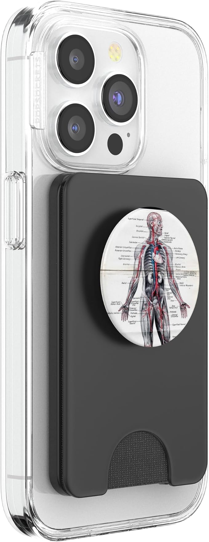 Medical Nursing Student Anatomy Chart PopSockets PopGrip: Swappable Grip for Phones &amp Tablets PopSockets Adhesive PopGrip