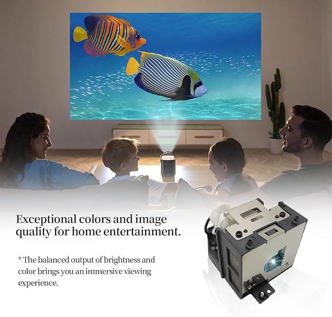 SORNEICDR AN-100LP Replacement Projector Lamp Bulb Compatible with Sharp XR-105/10S 10X/11XC/20S/20X/HB007/HB007X;XG-MB50X/MB50XL/MB55/MB55X/MB65/MB65X/MB67/MB67X;XV-Z3100/Z3000/Z100, with Housing