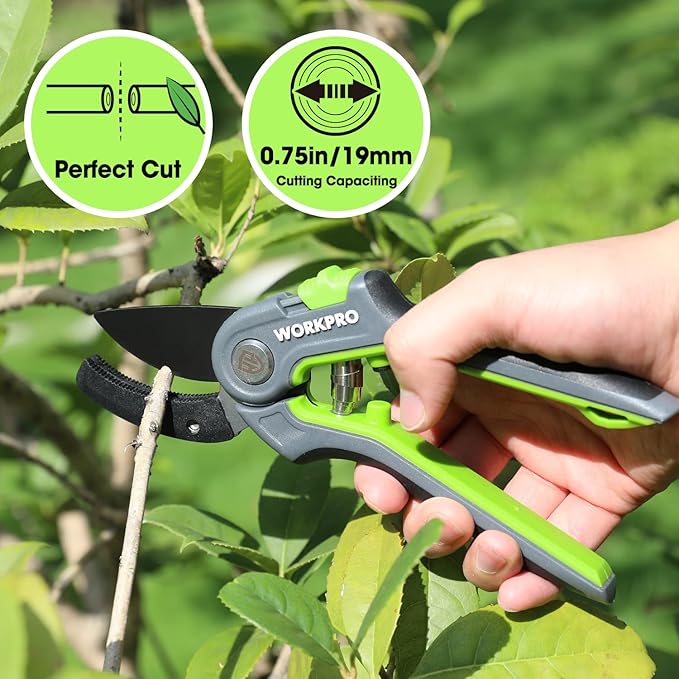 WORKPRO Anvil Pruning Shears, 8’’ Professional Gardening Hand Pruner with SK5 Steel Sharp Blades, Ideal Gardening Tool for Cutting and Trimming, Green
