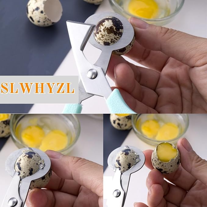 SLWHYZL 9 Pack Quail Egg Scissors - Stainless Steel Quail Scissors 9 Color for Quail Eggs