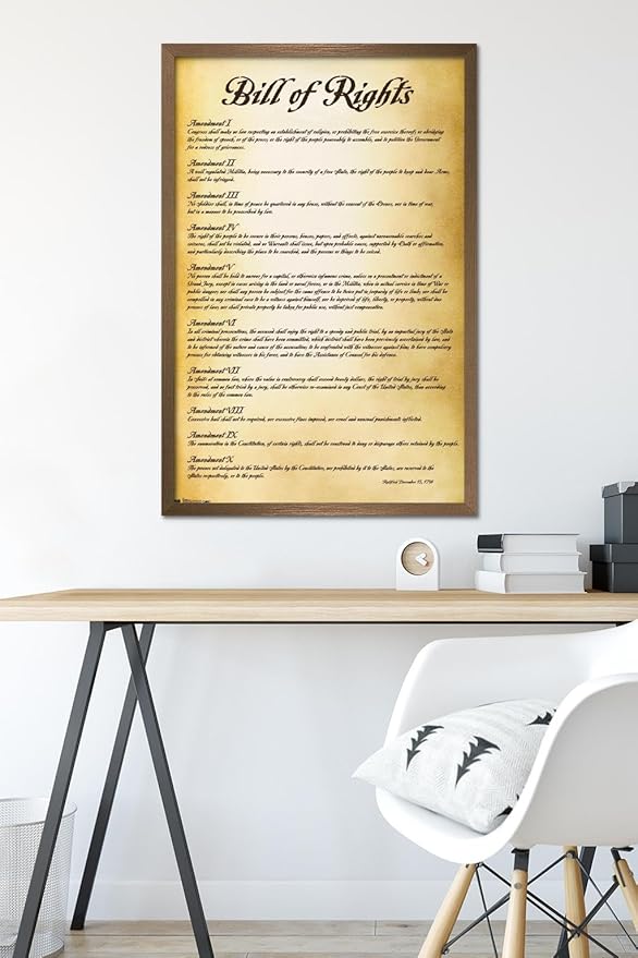 Trends International The United States of America - Bill of Rights Wall Poster, 22.375" x 34", Bronze Framed Version