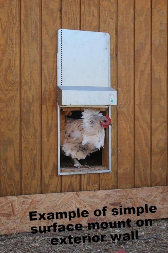 Automatic Chicken Coop Door, ADOR1 Made in USA