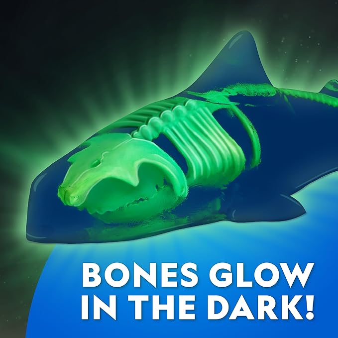 National Geographic Shark Dissection Kit – Glow in The Dark Great White Shark Anatomy Lab with 12 Bones & Organs, Refill Pack, Kid-Friendly Tools & Learning Guide