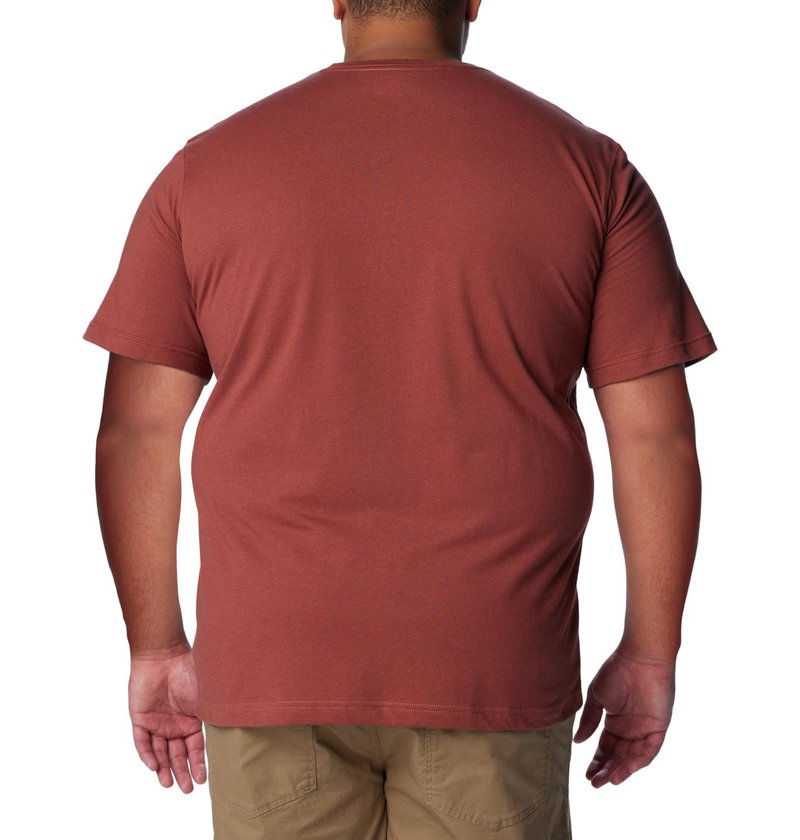 Columbia Men's Thistletown Hills Short Sleeve, Auburn Heather, Medium